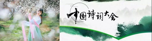 耀世集成灶