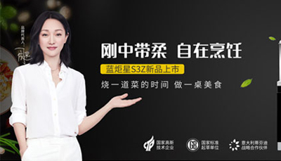 集成灶10大品牌，耀世请给我一面国旗火了