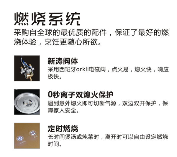 耀世集成灶燃烧系统